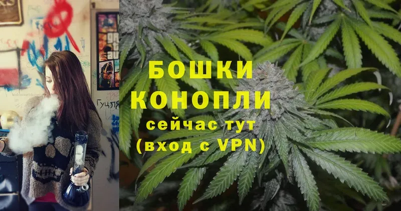 Бошки марихуана OG Kush  Игарка 